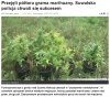 Takie sukcesy ma tylko Polska policja