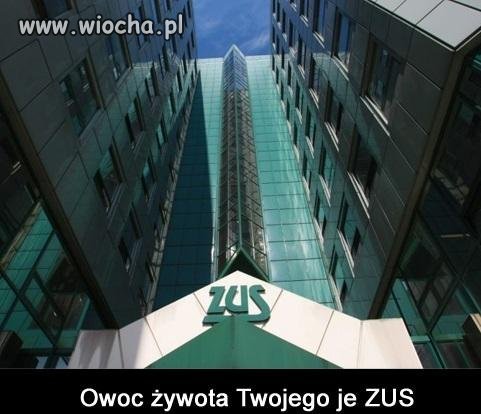 Nic dodać, nic ująć