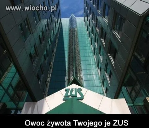 Nic dodać, nic ująć