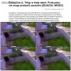 Bandyta powinien natychmiast trafić do aresztu 