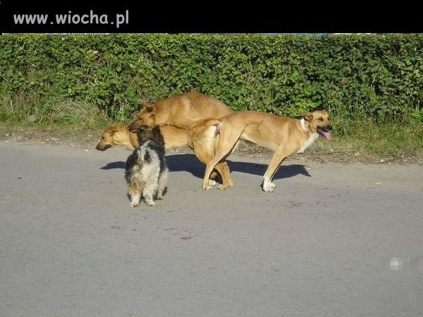 Taki tam, 3kącik