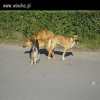Taki tam, 3kącik