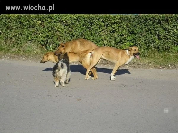 Taki tam, 3kącik
