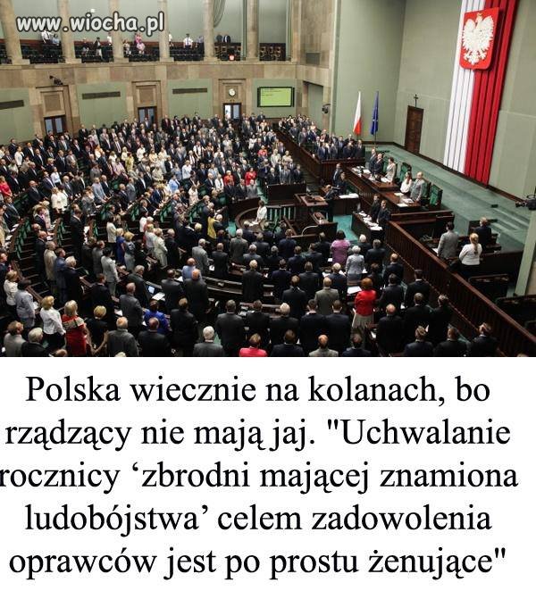 Cała prawda o hienach