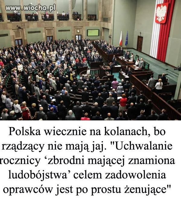 Cała prawda o hienach