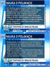 Instrukcja obsługi Polaka 