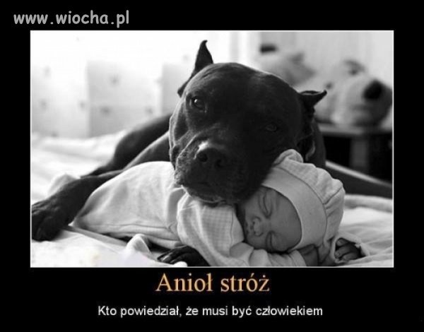 Jak wygląda Anioł Stróż?