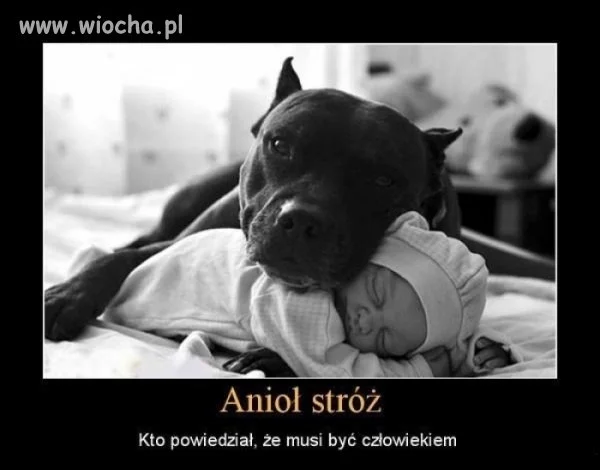 Jak wygląda Anioł Stróż?