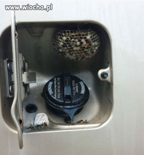 Czekał z tankowaniem, aż spadną ceny paliw...