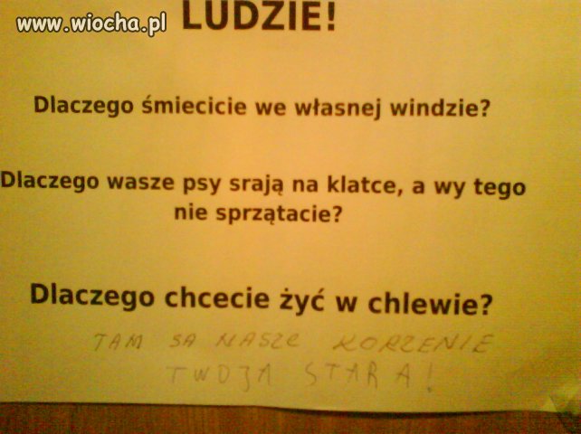 Dlaczego...