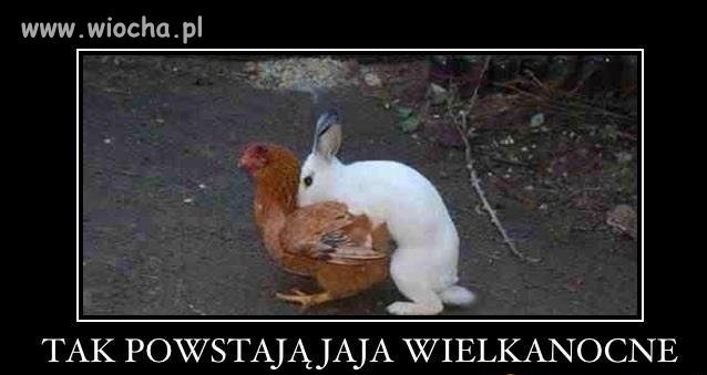 Hahaha