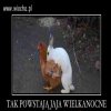 Hahaha