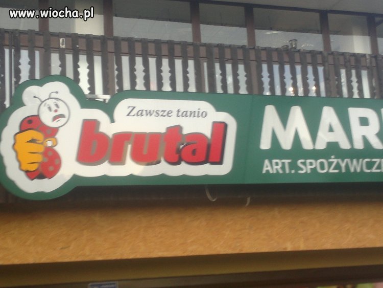 Konkurencja biedronki w zakopanym Brutal