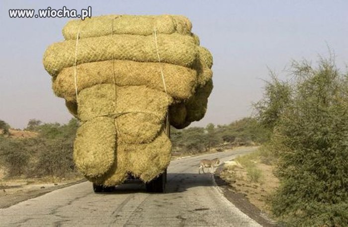 Transporter 