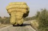 Transporter 