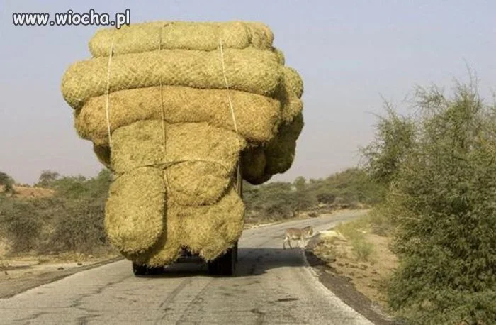Transporter 