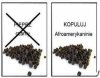 Poprawność polityczna