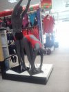 Takie tam w Go Sport
