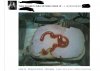 Znalezione na facebooku