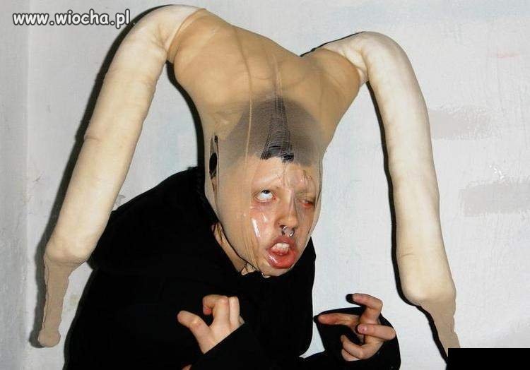 Wielbiciel