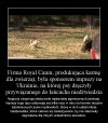 Masakryczna zabawa sponsorowana przez Royal Canin