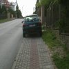 Mistrzowie parkowania  w tst