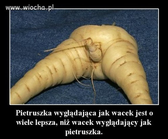 Wacek