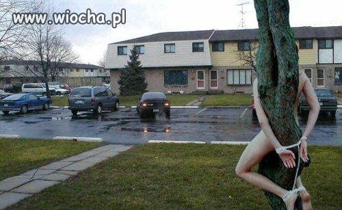 Ciekawe co przeskrobał, że tak skończył.