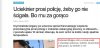 Prośba uciekiniera...