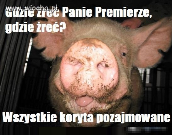 Panie premierze
