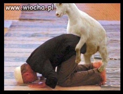Tymczasem u islamistów