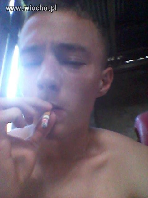 Gimbus