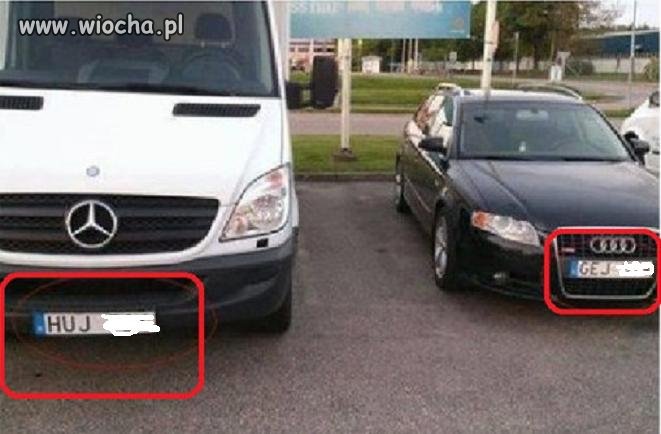 Dobrali się jak w korcu maku