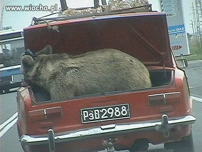 Tymczasem w Rosji..
