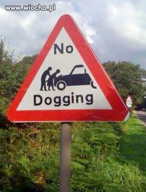 No Dogging