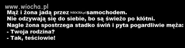Mąż & żona