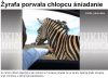 Wg tvn24.pl to jest żyrafa...