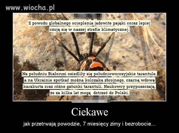 A więc bez obaw