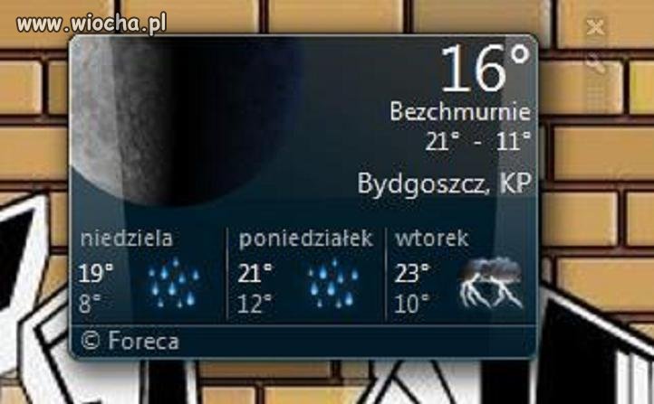Ledwo się wakacje zaczęły ...