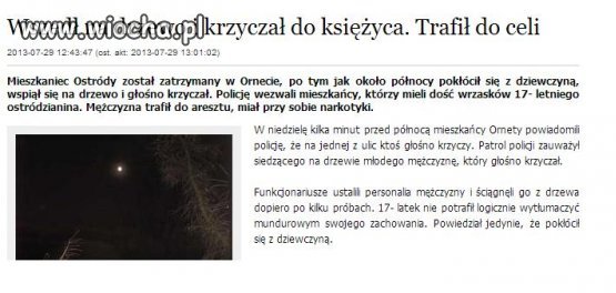 Wszedł na drzewo i krzyczał do księżyca.
