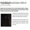 Wszedł na drzewo i krzyczał do księżyca.