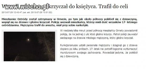 Wszedł na drzewo i krzyczał do księżyca.
