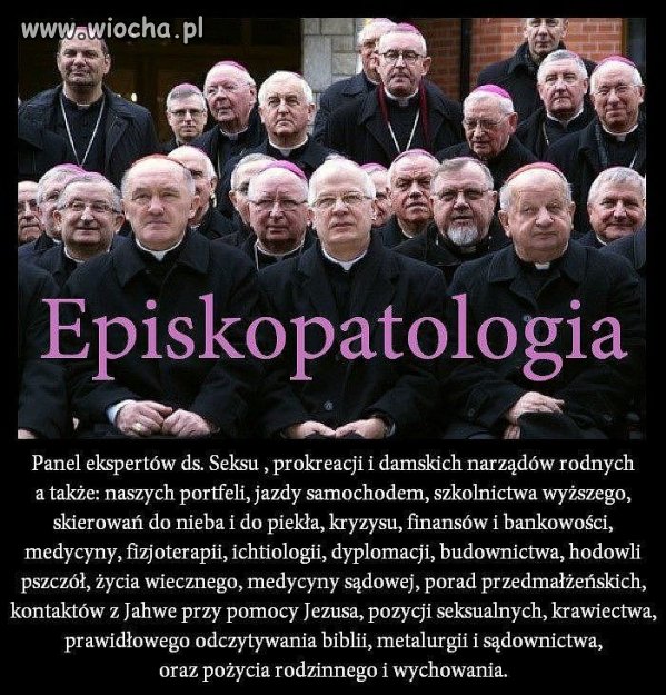 Eksperci od wszystkiego.