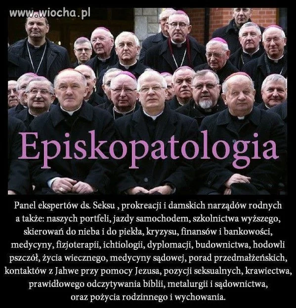 Eksperci od wszystkiego.