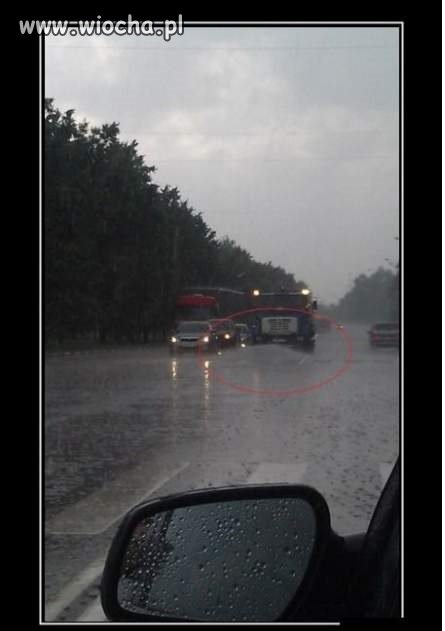 Polewać trzeba, bo się kurzy