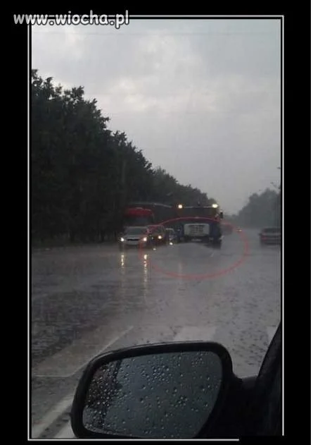 Polewać trzeba, bo się kurzy
