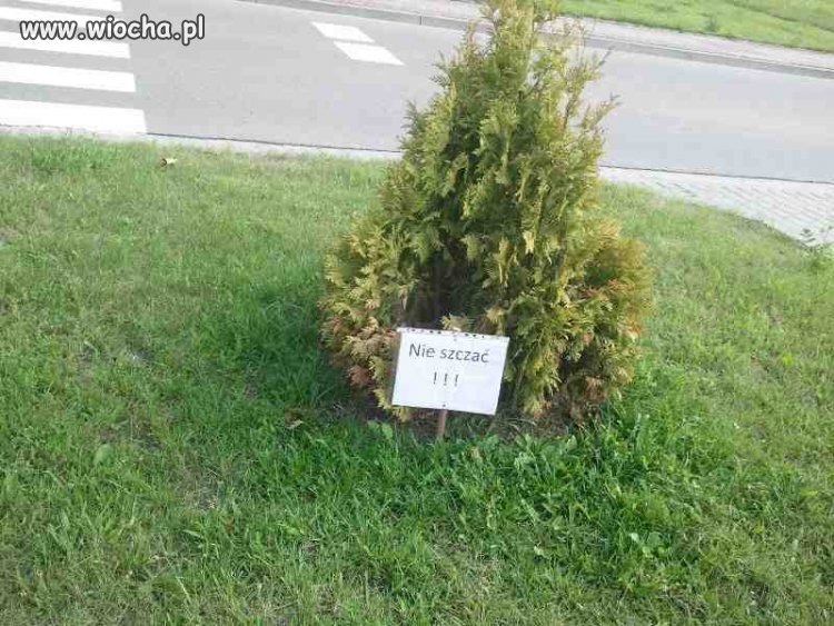 Nie szczać!!!