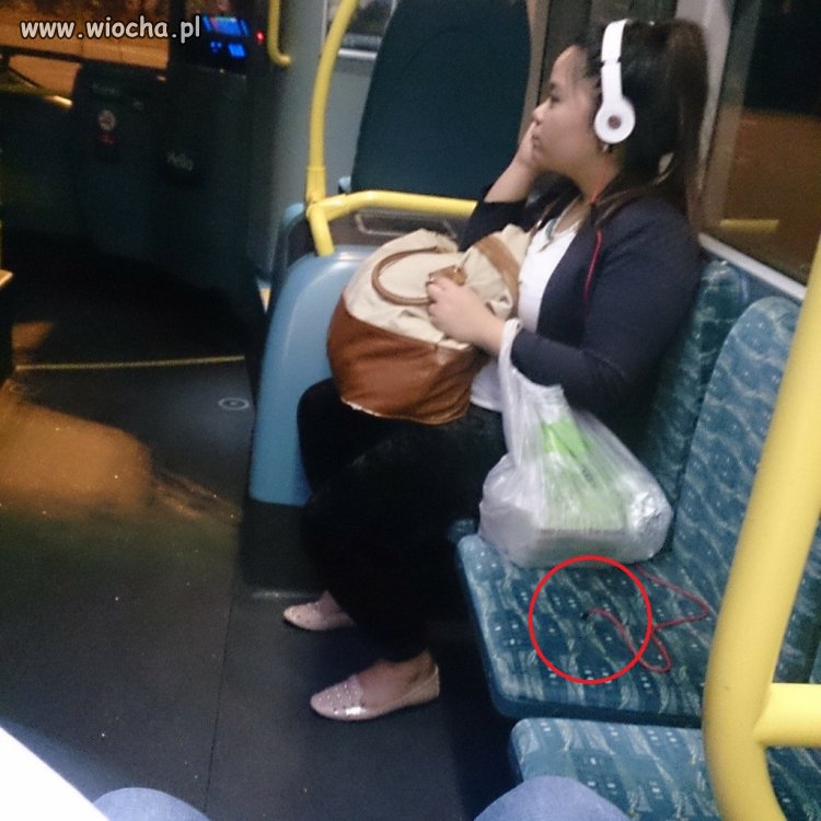 Ciekawe jakiej muzyki słucha?