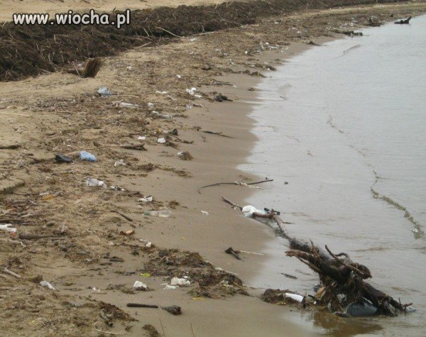 Śmieci na plaży