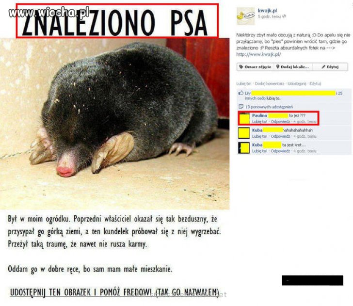 No tak, mamy wakacje, 